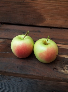 Our tree has the most beautiful apples :)